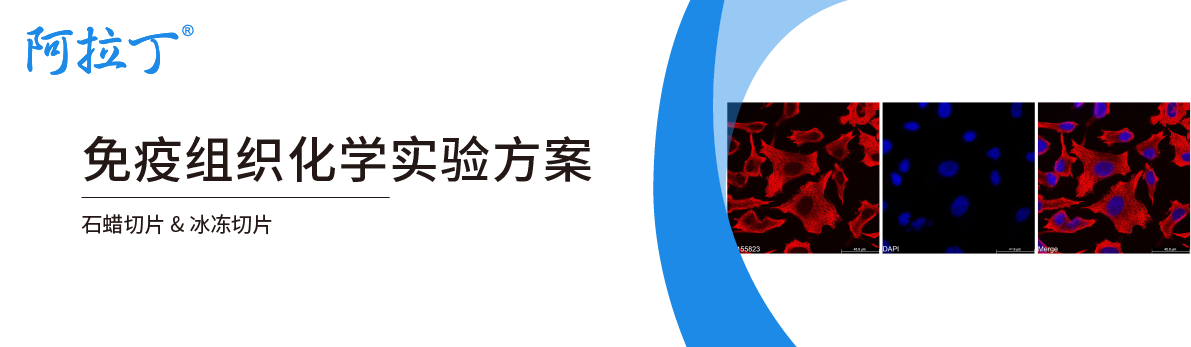 【阿拉丁】免疫组织化学实验方案